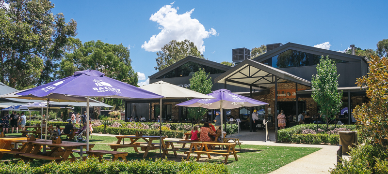 Outdoor tables and umbrellas at Bailey Brewing Co in the Swan Valley