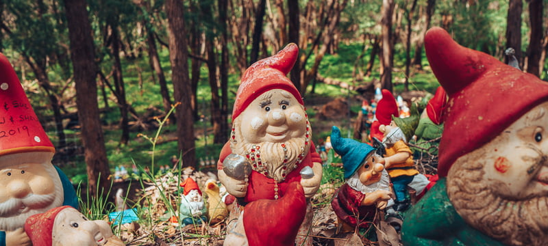 Lady gnomes in Gnomesville