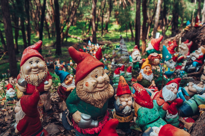 The gnomes at Gnomesville in Western Australia
