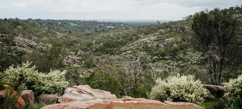 View across John Forrest National Park to the Perth suburbs