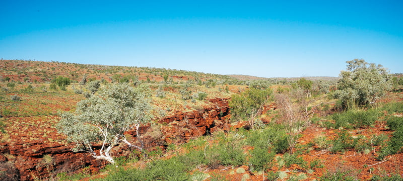 View of the Karijini gorge and landscape