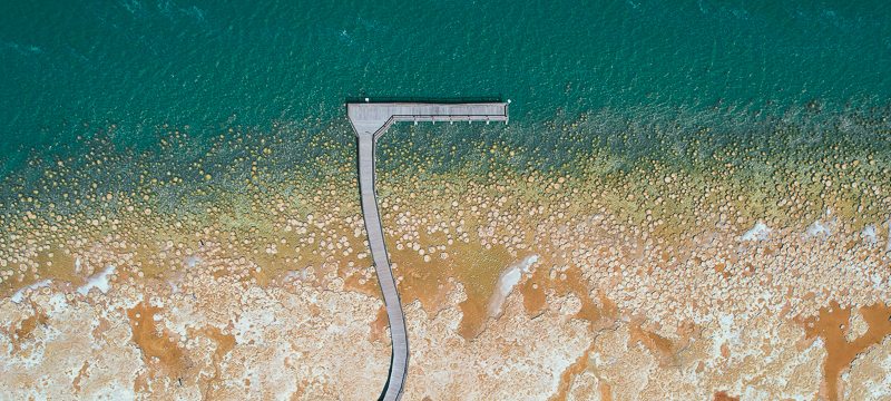Top down view of the Lake Clifton Thrombolites and Boardwalk