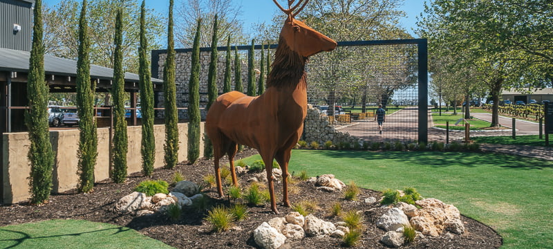 Stag statue in the grounds of Sandalford Winery