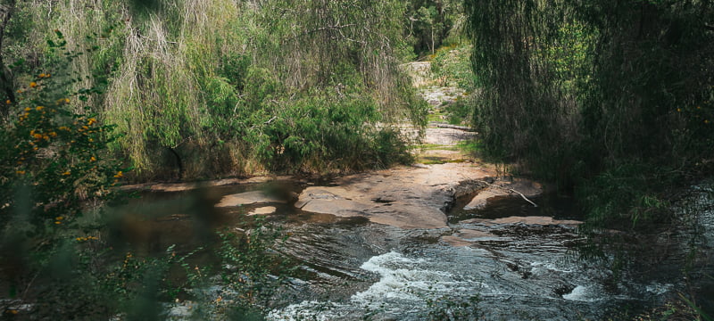 A stream in the Wellington National Park