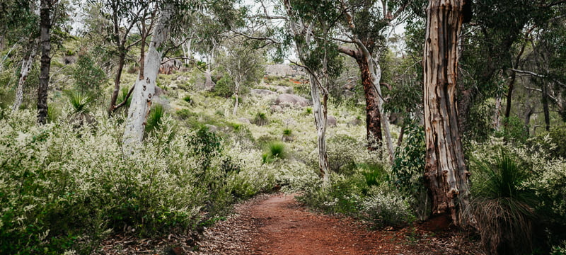 John Forrest National Park is one of the best Perth day trips.